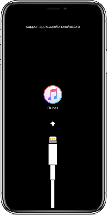 ios12-iphone-x-restore-iphone-itunes-448x900.jpg